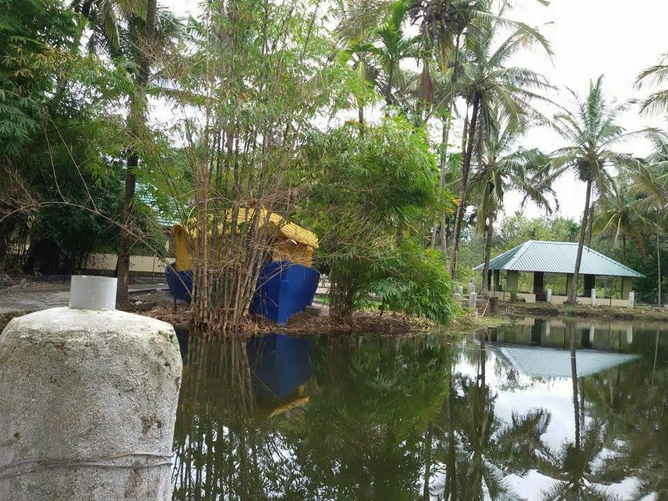 Coorg Anekad Jungle Stay Kushalnagar Exterior photo